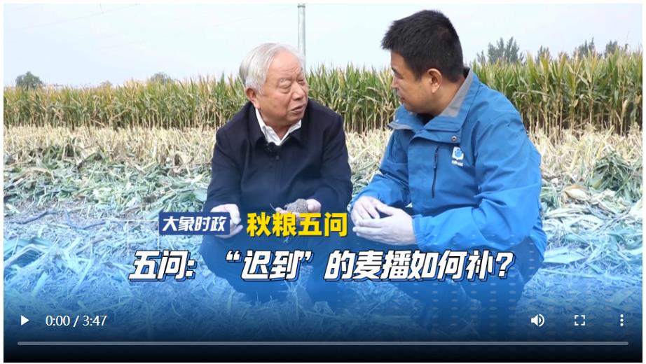 【秋糧五問(wèn)】五問(wèn)：“遲到”的麥播如何補(bǔ)？