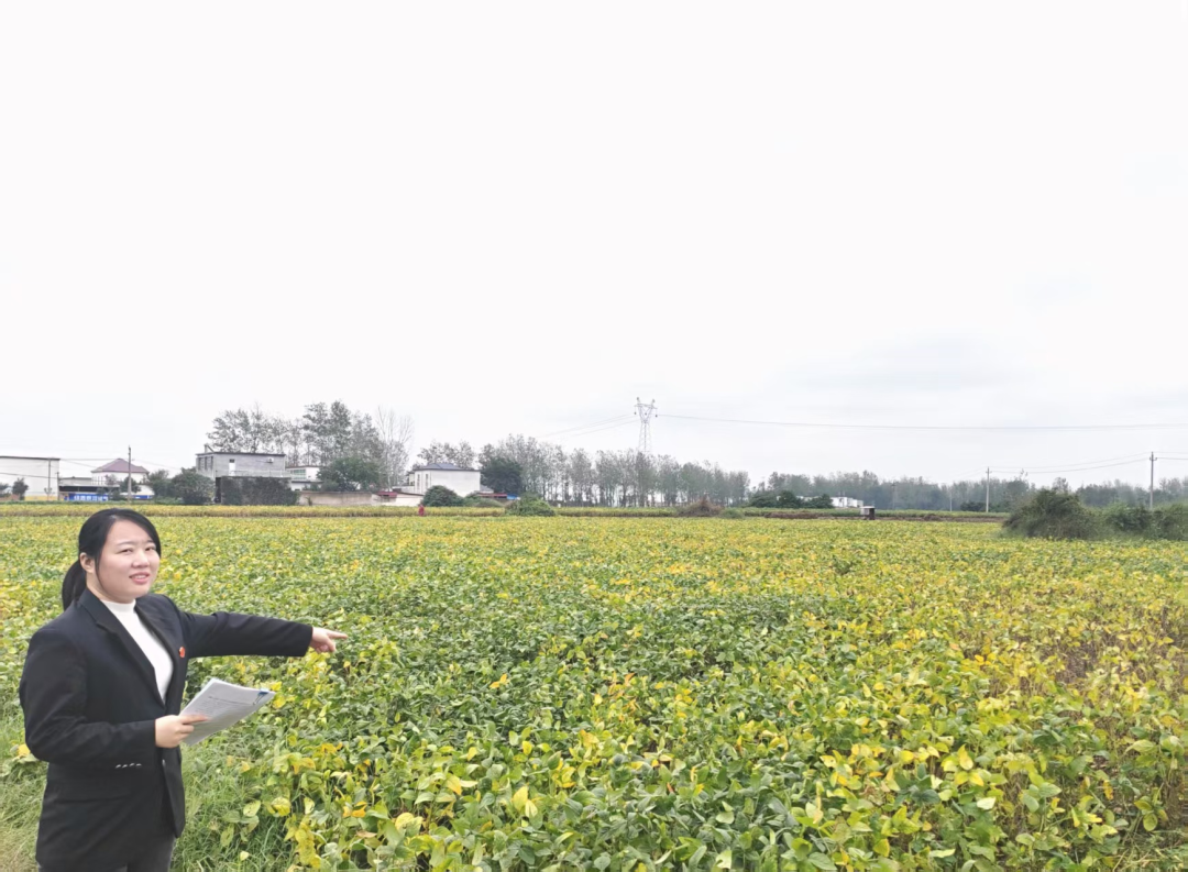 扎根基層法庭的100天:一名法院新人的淬煉之路