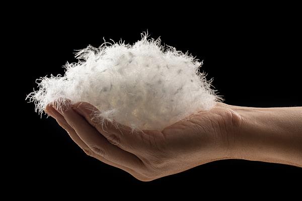 冷空氣來襲，如何正確挑選羽絨服？