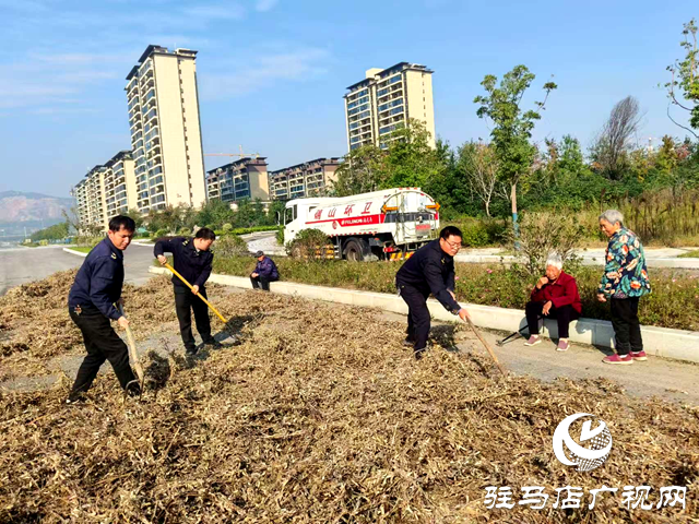 確山縣住建局:暖心解民憂 劃定專屬晾曬區(qū)守護秋收