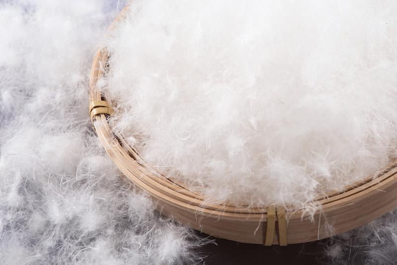 冷空氣來襲，如何正確挑選羽絨服？