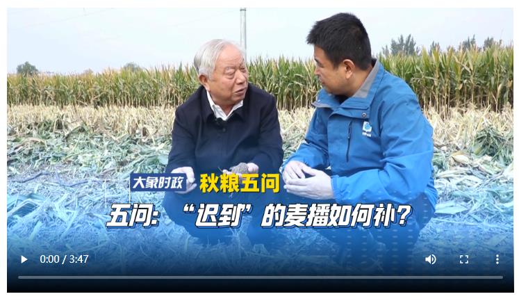 【秋糧五問(wèn)】五問(wèn)：“遲到”的麥播如何補(bǔ)？