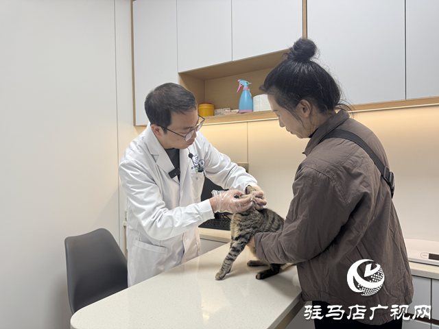 寒冬將至，您的“毛孩子”準備好了嗎？——專業(yè)獸醫(yī)詳解冬季愛寵養(yǎng)護秘籍