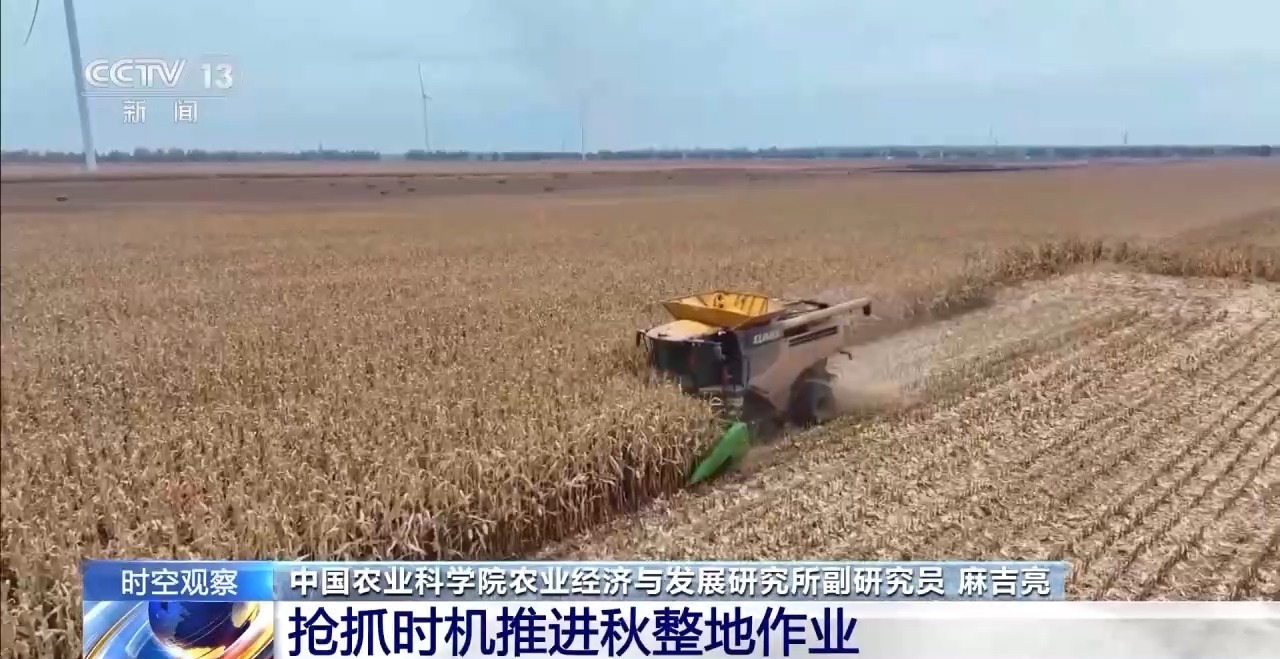 晚播小麥如何保產量？霜降搶秋該怎么搶？專家分析