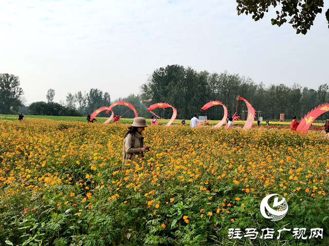 魏莊村“天邊花海”即將開園 兩百畝花田繪就秋日鄉(xiāng)村畫卷??
