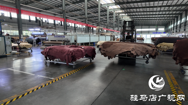 中牛實業(yè):向“新”逐“綠” 促進企業(yè)高質(zhì)量發(fā)展