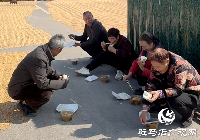 驛城區(qū)水屯鎮(zhèn)：村支書自費為村民送餐 暖心服務(wù)解曬糧難題??