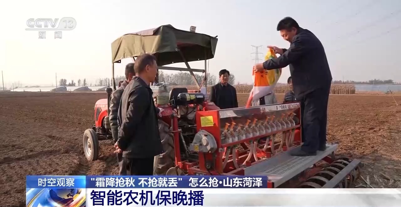 晚播小麥如何保產量？霜降搶秋該怎么搶？專家分析