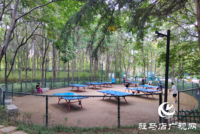 “十四五”期間駐馬店園林綠化提質升級 550公頃新增綠地打造宜居城市??