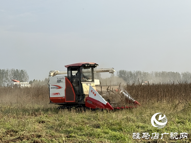 駐馬店市舉辦芝麻機(jī)械化收獲現(xiàn)場演示會 ?