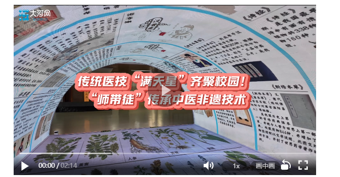傳統(tǒng)醫(yī)技“滿天星”齊聚校園！“師帶徒”傳承非遺精髓丨中意中國 一草一世界