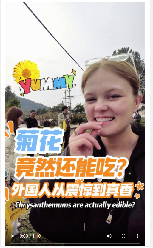 河南讓老外知道菊花竟然還能吃