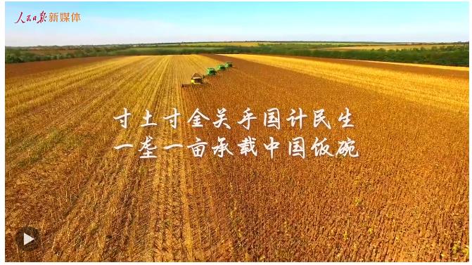總書記的關(guān)切·落地的回響 | 保護(hù)黑土地 大國糧倉更穩(wěn)固