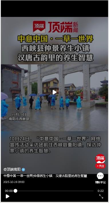 中意中國·一草一世界|仲景養(yǎng)生小鎮(zhèn)：漢唐古韻里的養(yǎng)生智慧