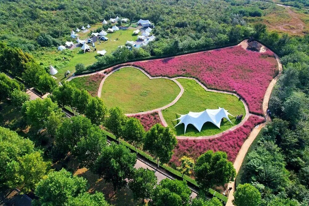 河南，被圈“粉”了！