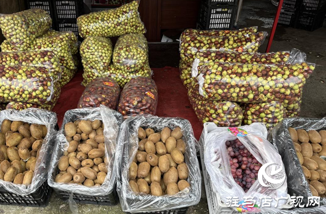 駐馬店：水果市場(chǎng)換季上新 供應(yīng)充足價(jià)格趨穩(wěn)??
