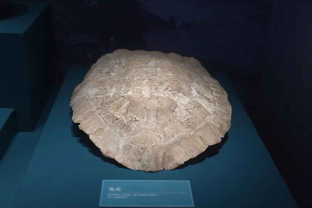 移動“鍋架子”上 藏著長江流域大溪先民的生活日常