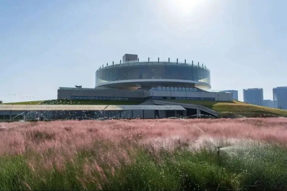 河南，被圈“粉”了！