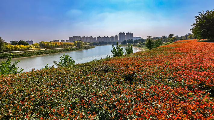 縣區(qū)動(dòng)態(tài) | 秋日晴光好 斑斕入畫來