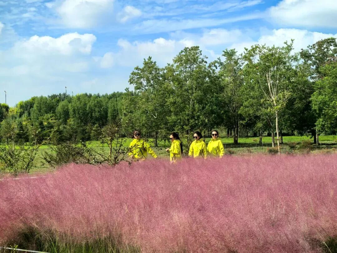 河南，被圈“粉”了！