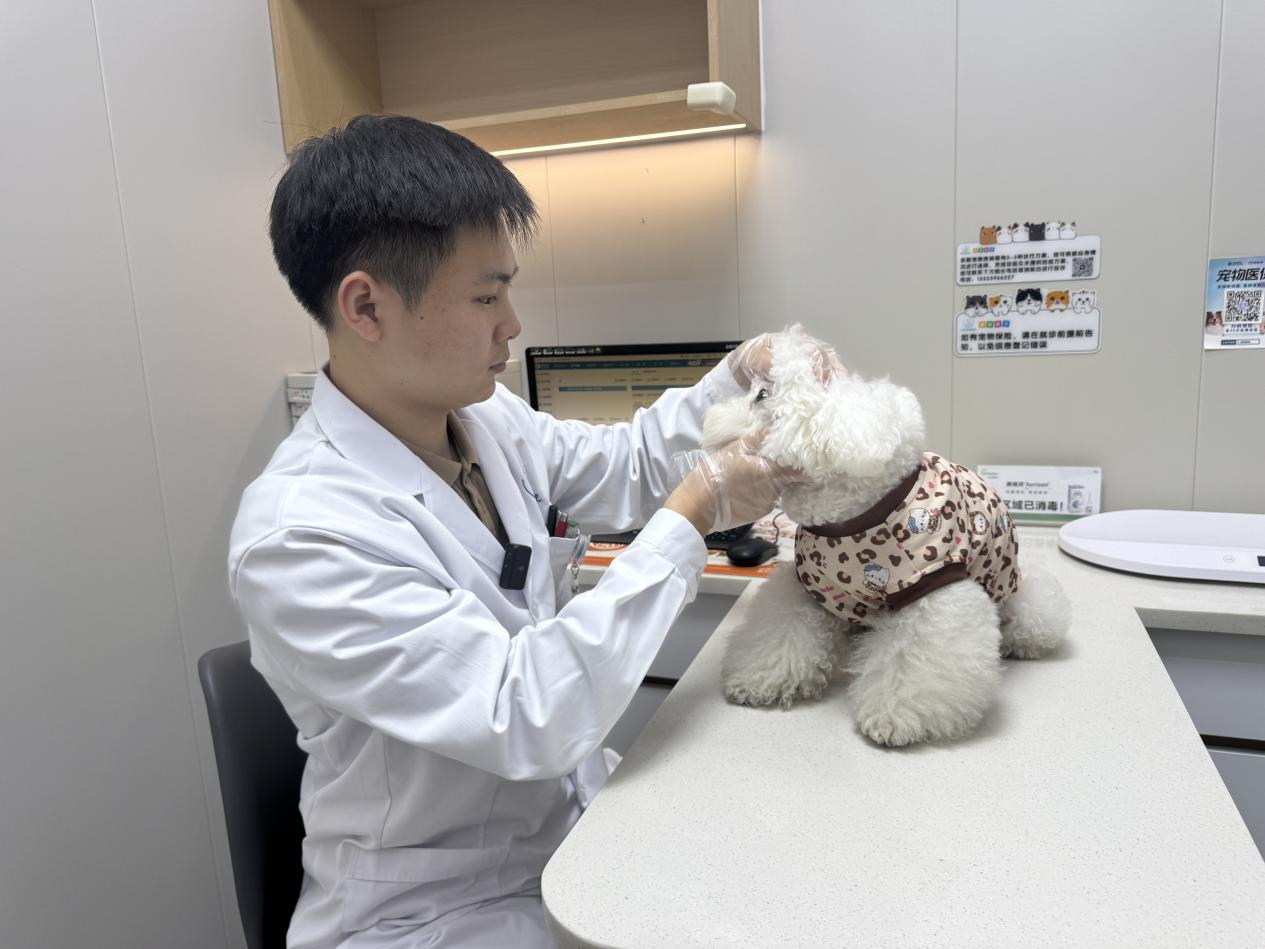 冬季愛寵養(yǎng)護秘籍