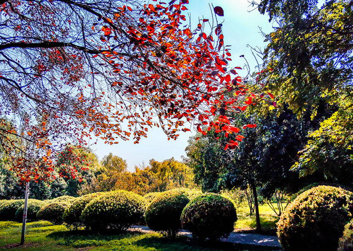 縣區(qū)動(dòng)態(tài) | 秋日晴光好 斑斕入畫來