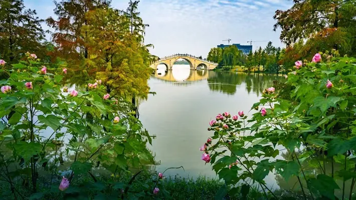 縣區(qū)動態(tài) | 湖漾斑斕色 草木織彩秋