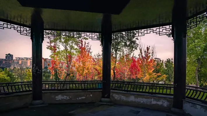 縣區(qū)動態(tài) | 湖漾斑斕色 草木織彩秋