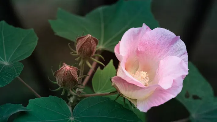 縣區(qū)動態(tài) | 湖漾斑斕色 草木織彩秋