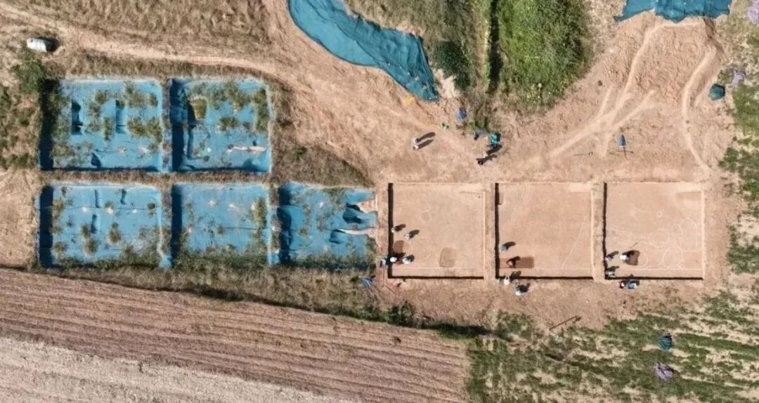 “十四五”駐馬店文旅答卷系列之二 | 賡續(xù)天中文脈 讓遺產(chǎn)之花灼灼其華