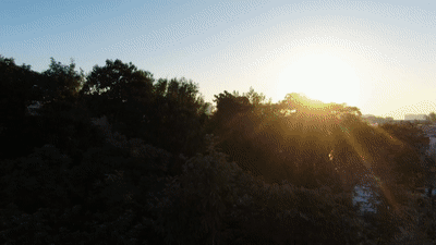 文化中國(guó)行·歲時(shí)中國(guó)｜重陽：登高敬耆