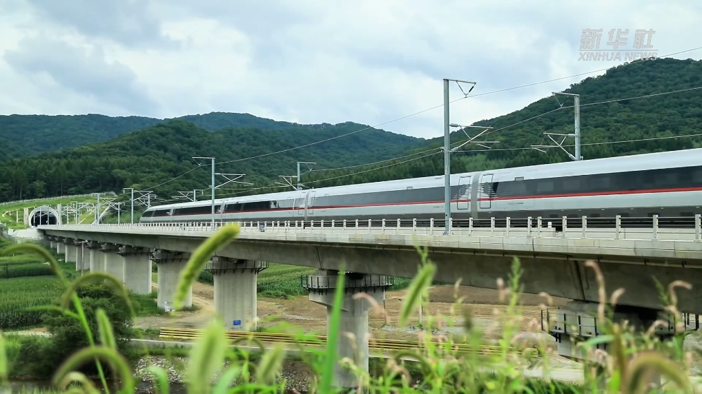 打折了！沈白高鐵各趟列車11月1日起不同程度降價(jià)
