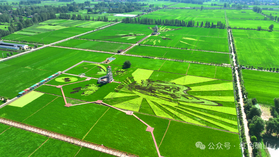 “十四五”駐馬店文旅答卷系列之三 | 業(yè)態(tài)創(chuàng)新升級，鄉(xiāng)村旅游火爆