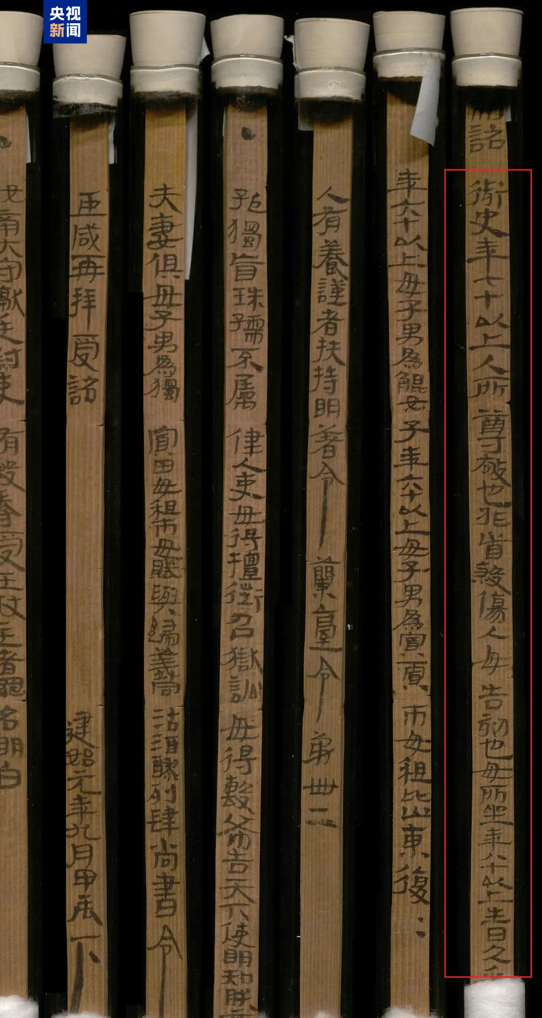 文博日歷丨帶你認識漢代官方敬老令