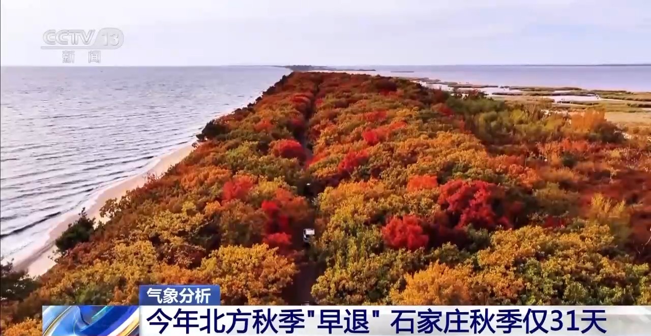 多地秋天“遲到早退” 秋季為何越來越短了？