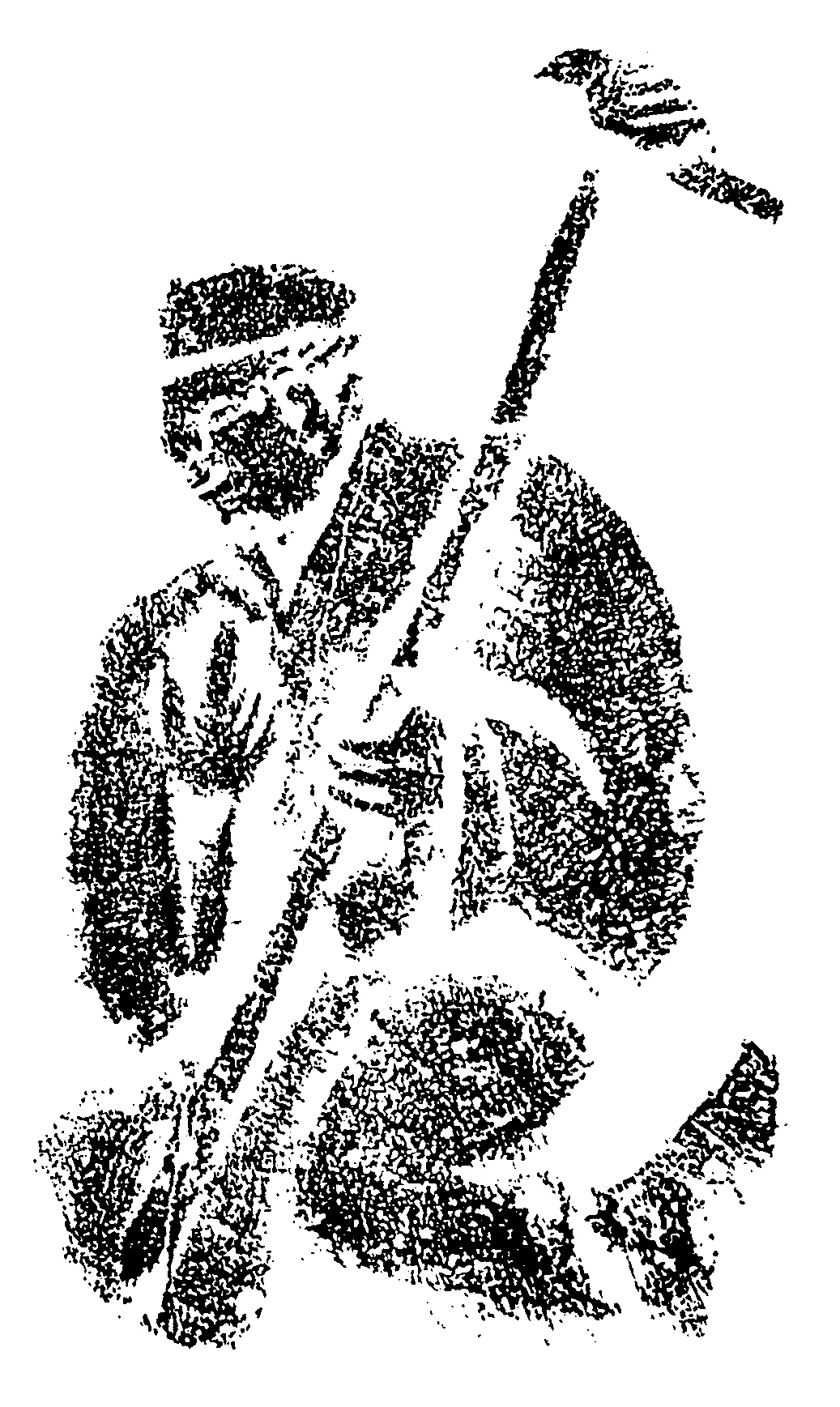 文博日歷丨帶你認識漢代官方敬老令