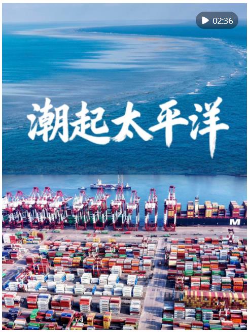 微視頻｜潮起太平洋