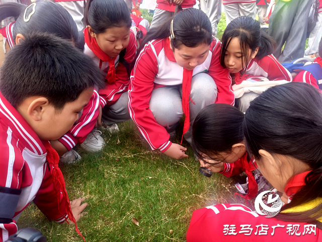 駐馬店市第三十七小學(xué)開展“賞秋日之美 探科學(xué)之秘”徒步研學(xué)活動