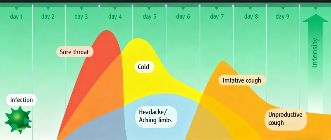 嗓子疼是感冒警報？做對這些事阻斷病毒