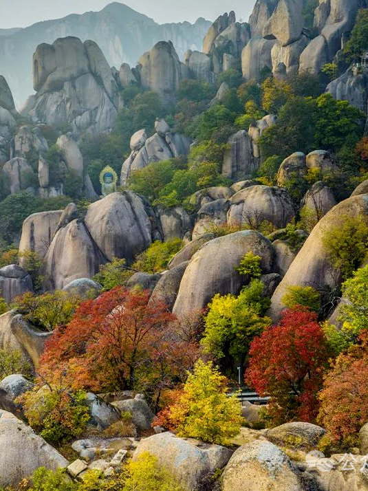 駐馬店秋日漫步指南：抓住秋天的尾巴，在這幾個地方邂逅最美時光