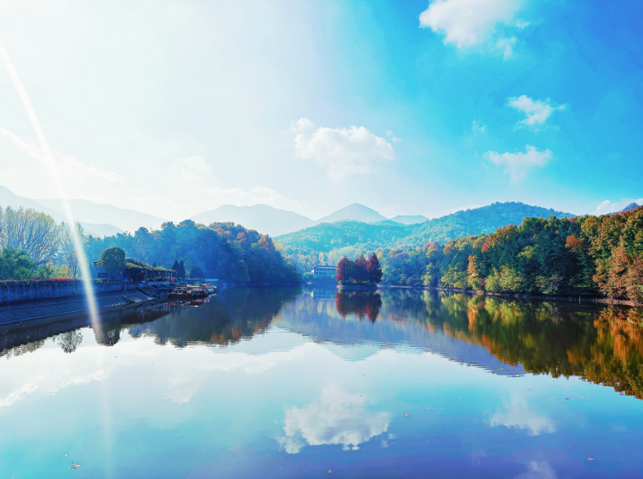 駐馬店秋日漫步指南：抓住秋天的尾巴，在這幾個地方邂逅最美時光