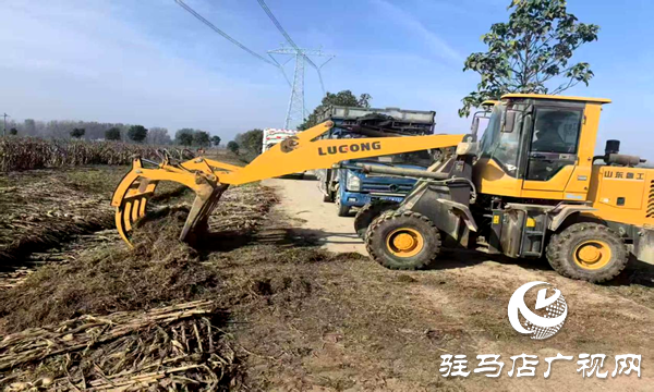 平輿縣射橋鎮(zhèn)：秸稈清運“加速度” 繪就鄉(xiāng)村潔凈新圖景