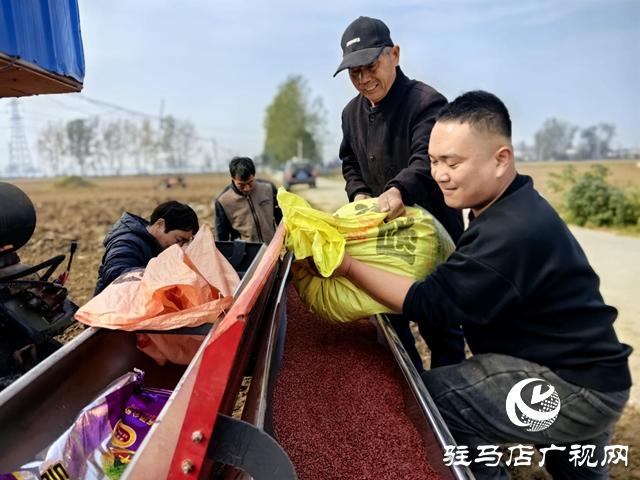 驛城區(qū)水屯鎮(zhèn):搶抓農(nóng)時(shí)推進(jìn)秋播