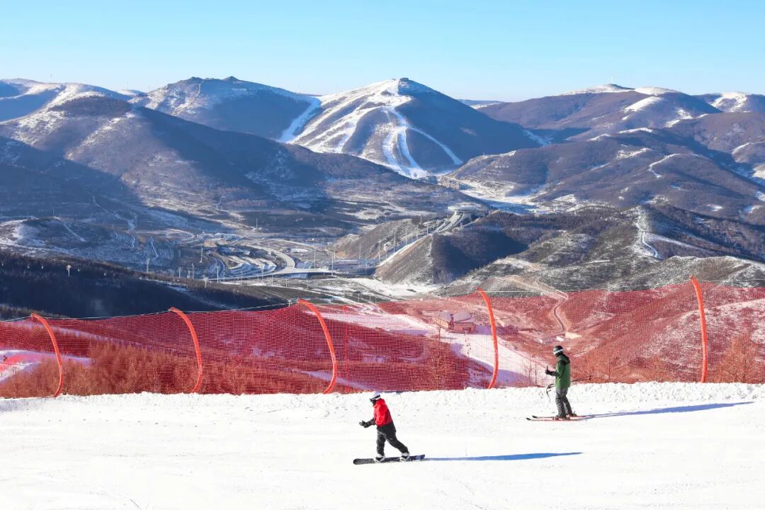 今年，你的消費“悅己”幾何？