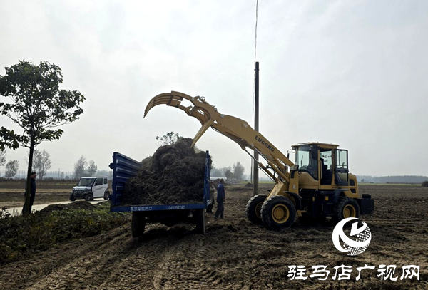 平輿縣玉皇廟鄉(xiāng):干群攜手清秸稈 秋種禁燒雙推進