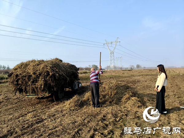 平輿縣李屯鎮(zhèn):秸稈清運(yùn)除隱患 全域巡防護(hù)藍(lán)天