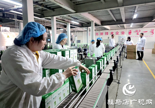 上蔡縣晨鐘農(nóng)業(yè)發(fā)展有限公司：全力備戰(zhàn)“雙十一” 沖刺年度銷售高峰