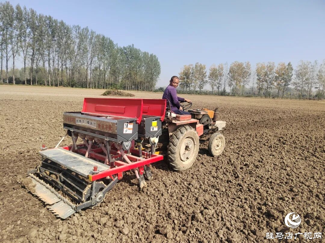 正陽縣冬小麥播種掀熱潮