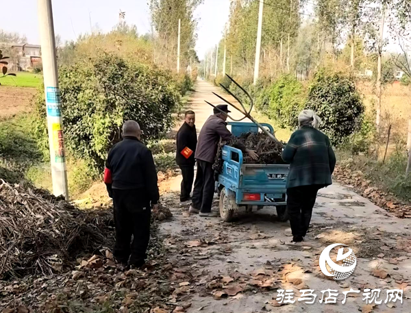 平輿縣玉皇廟鄉(xiāng):干群攜手清秸稈 秋種禁燒雙推進