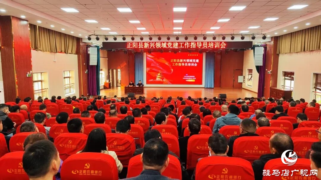 正陽縣舉辦新興領(lǐng)域黨建工作指導(dǎo)員培訓(xùn)會